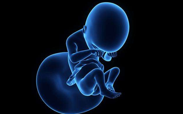 评估卵巢功能的方法有哪些呢？在做试管婴儿又当如何来提升成功率？
