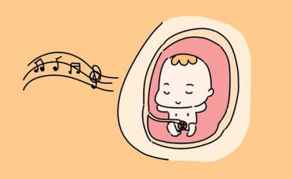 试管婴儿的胚胎数量多少有什么来决定？